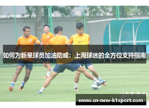 如何为新星球员加油助威：上海球迷的全方位支持指南