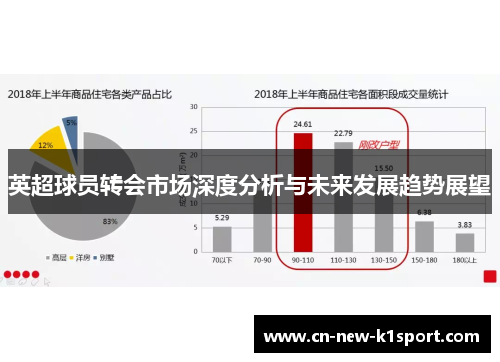 英超球员转会市场深度分析与未来发展趋势展望