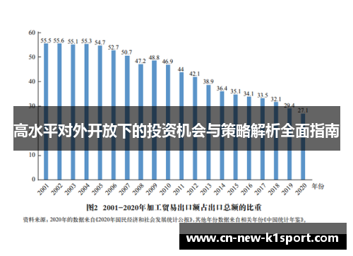 高水平对外开放下的投资机会与策略解析全面指南