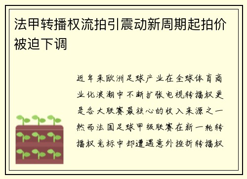 法甲转播权流拍引震动新周期起拍价被迫下调